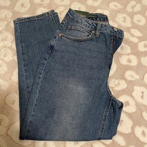 Wild Fable Highest Rise Curvy Mom Jean